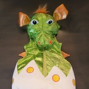 Dragon Costume